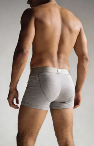 Grey-Back-
